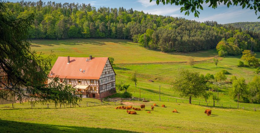 what-beautiful-region-odenwald